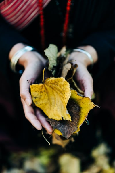 Hands giving soil and leaves. Representing roots (traditions) being passed from one generation to the next. Knowledge