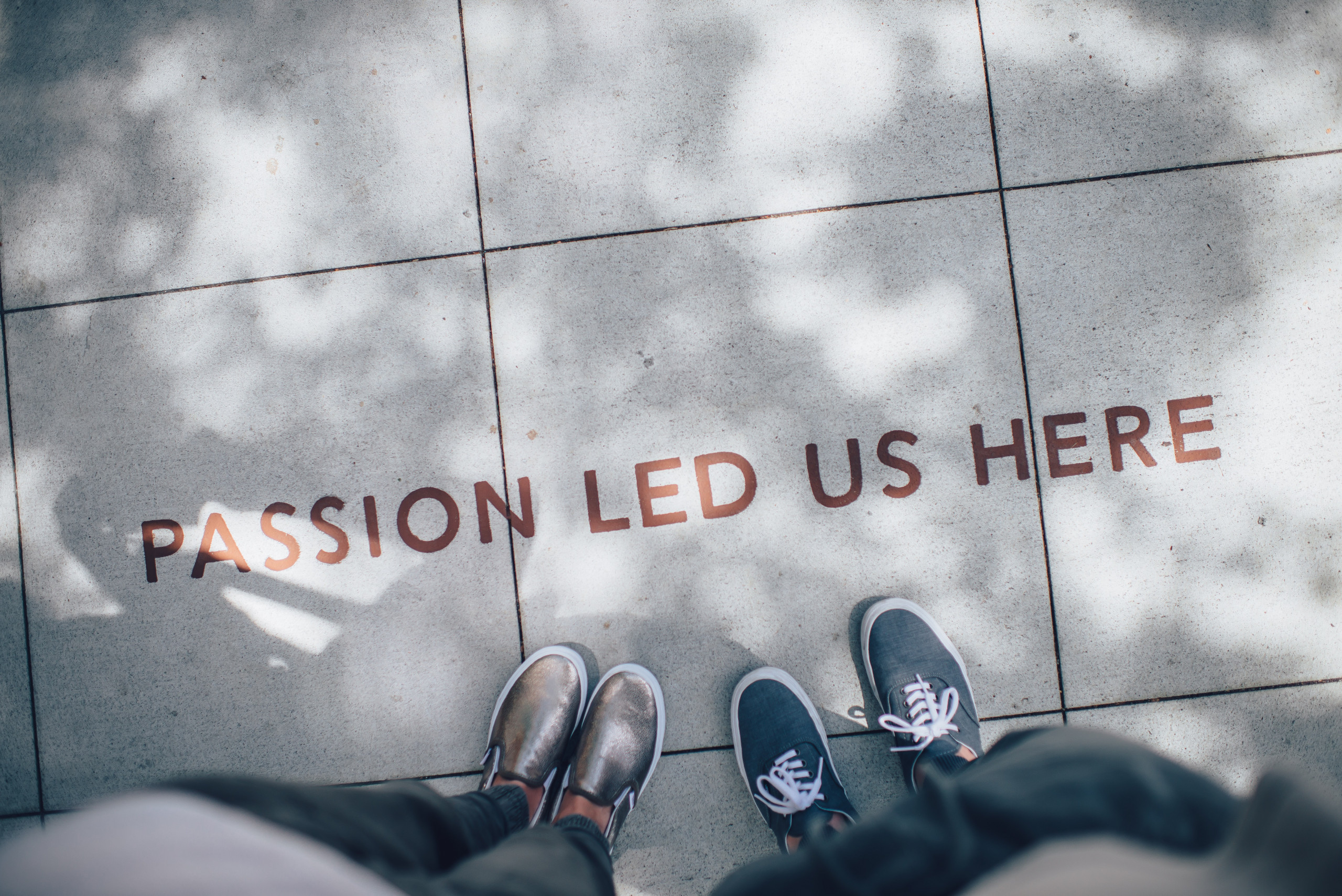 Passion led us here Passion Led Us Here. Painted on sidewalk.